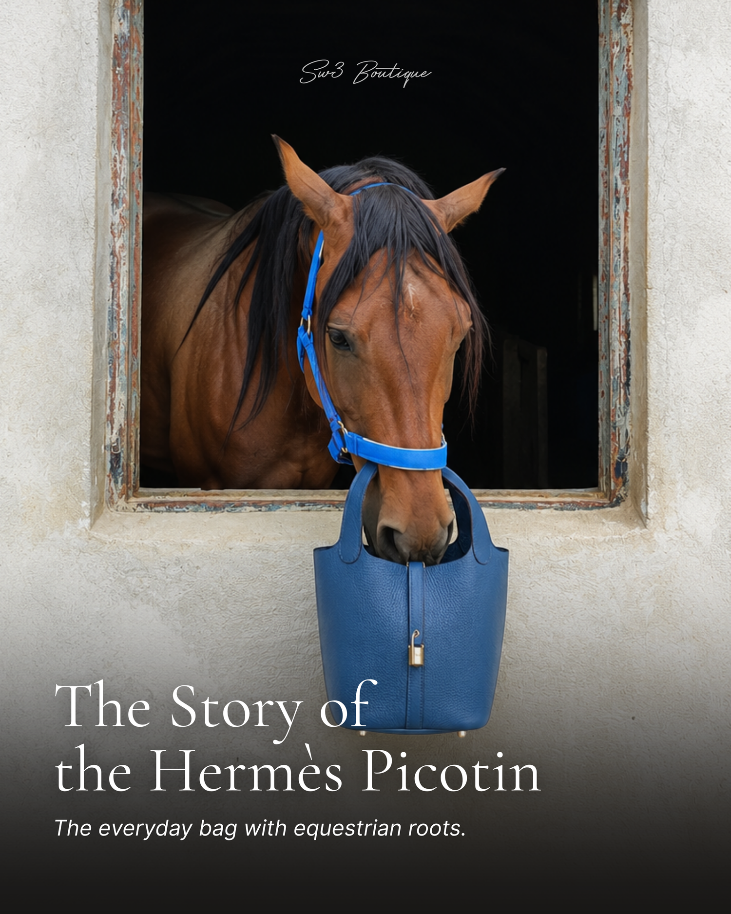 The Story of the Hermès Picotin: From Horse Feed Bag to Luxury Icon