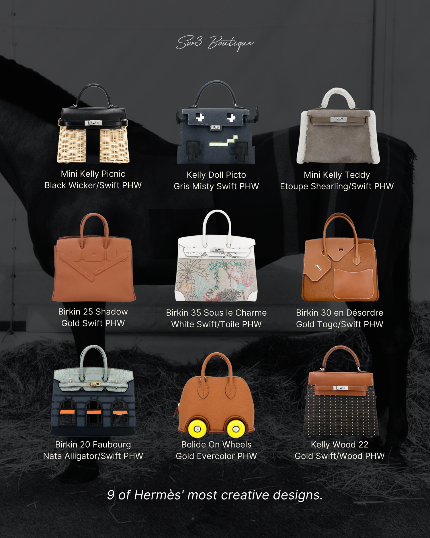 Hermès Special Bags Guide: 9 Rare Collector Designs Beyond the Birkin & Kelly