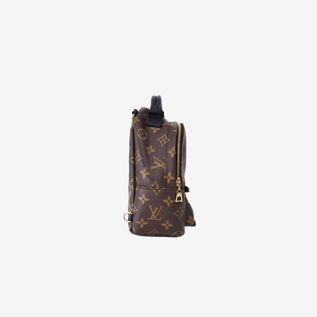 Louis Vuitton Palm Springs Mini Backpack in Brown Monogram Canvas with Gold Hardware