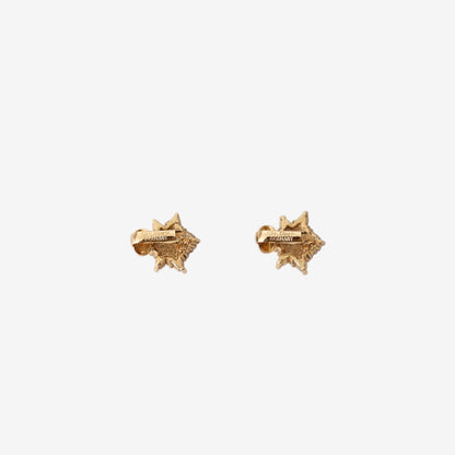 Dior Clip-On Earrings in Gold-Tone Metal with Rhinestones