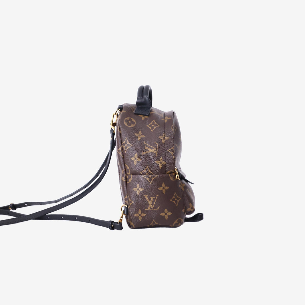 Louis Vuitton Palm Springs Mini Backpack in Brown Monogram Coated Canvas with Gold Hardware