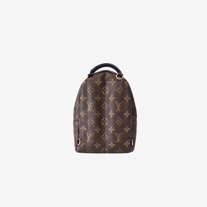 Louis Vuitton Palm Springs Mini Backpack in Brown Monogram Canvas with Gold Hardware