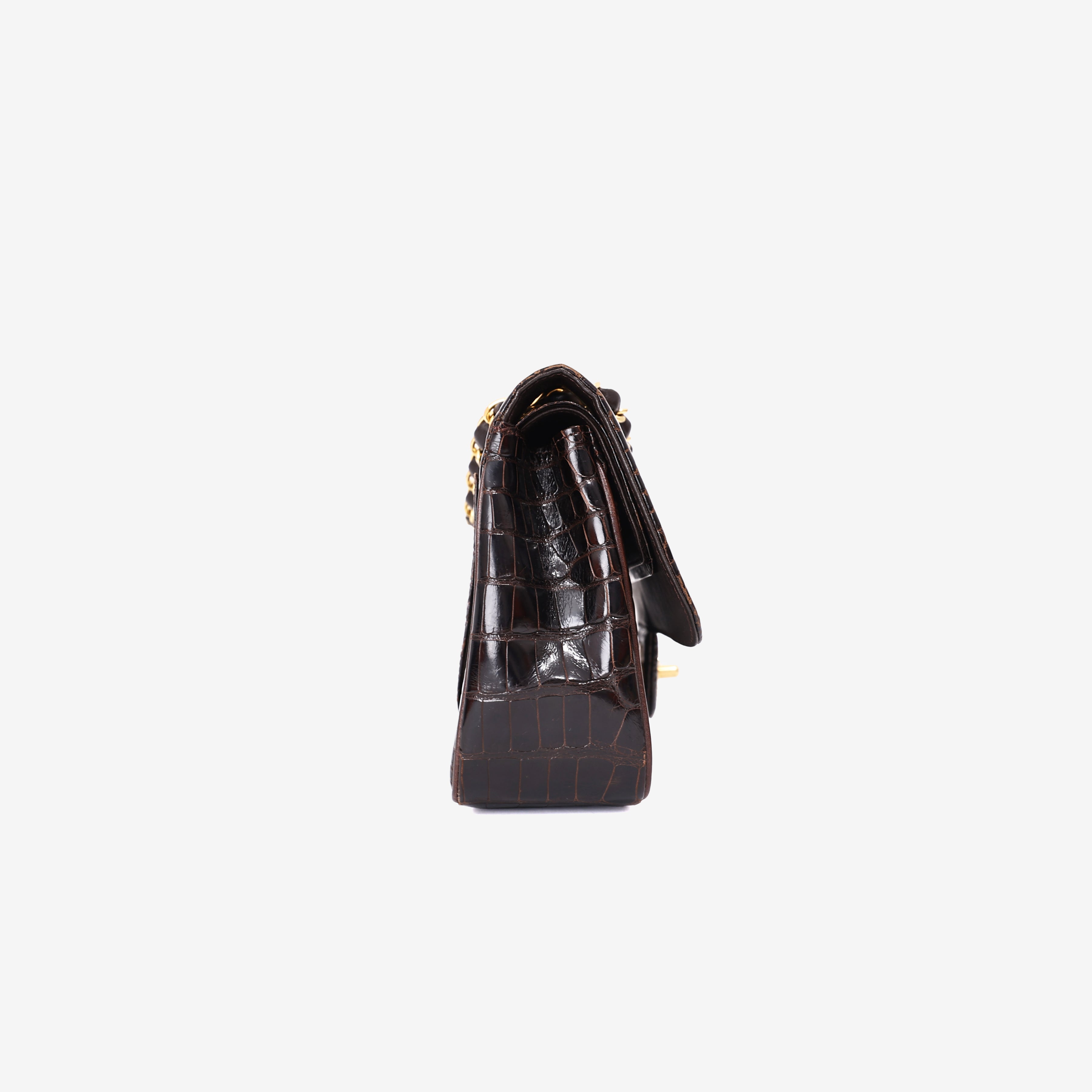 Chanel Timeless Classic Double Flap Small in Black Shiny Alligator Leather with Gold Hardware side view