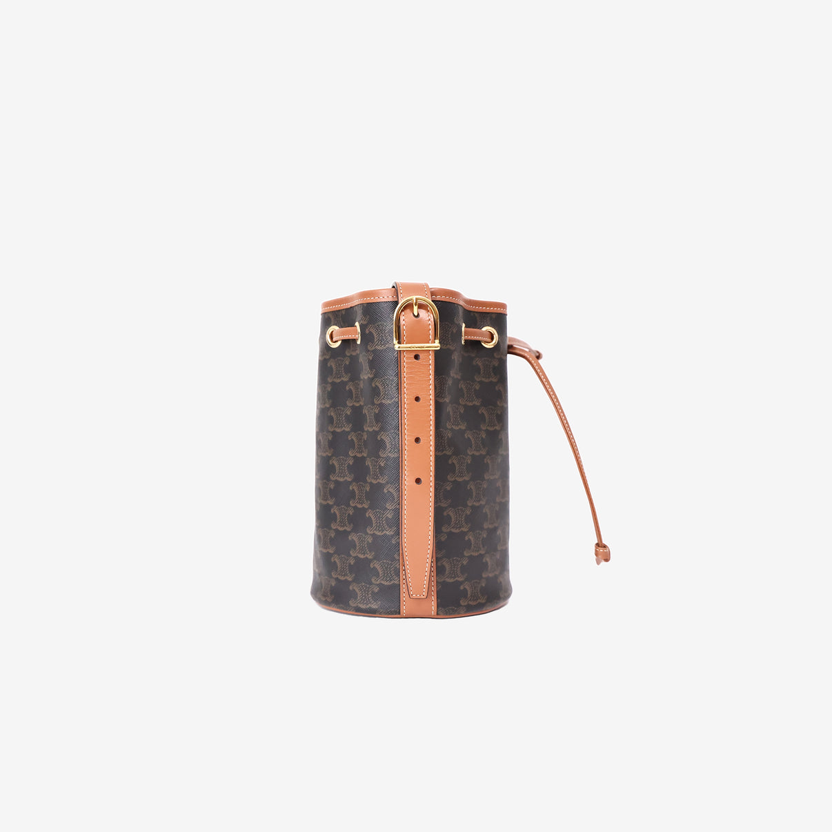 Celine Small Bucket Bag in Triomphe Canvas and Calfskin Leather with Gold Hardware side view