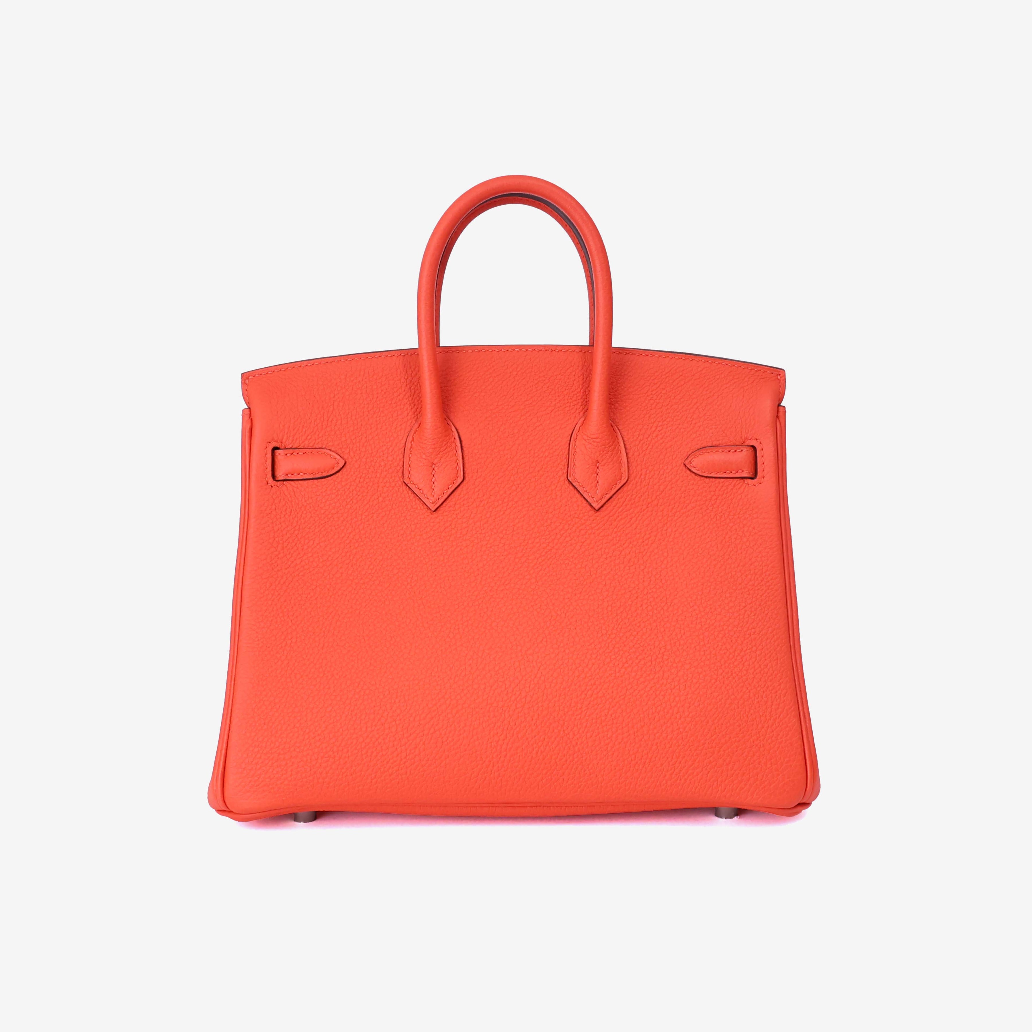 Hermès Birkin 25 in Rouge Togo Leather with Palladium Hardware back view