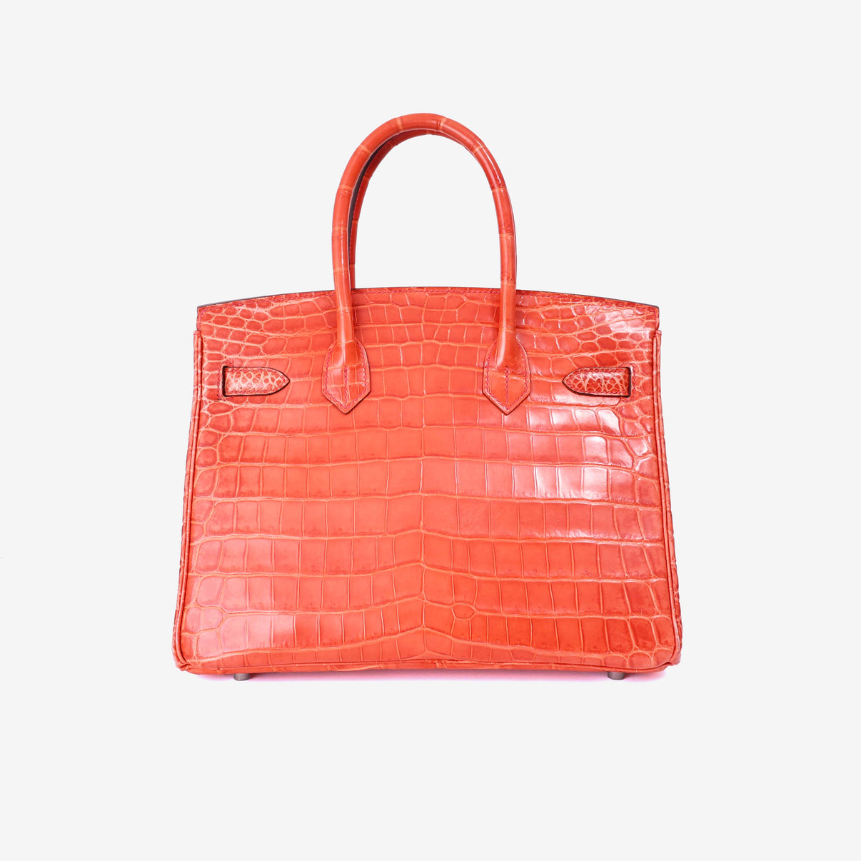 Hermès Birkin 30 in Rouge Crocodile Leather with Palladium Hardware back view