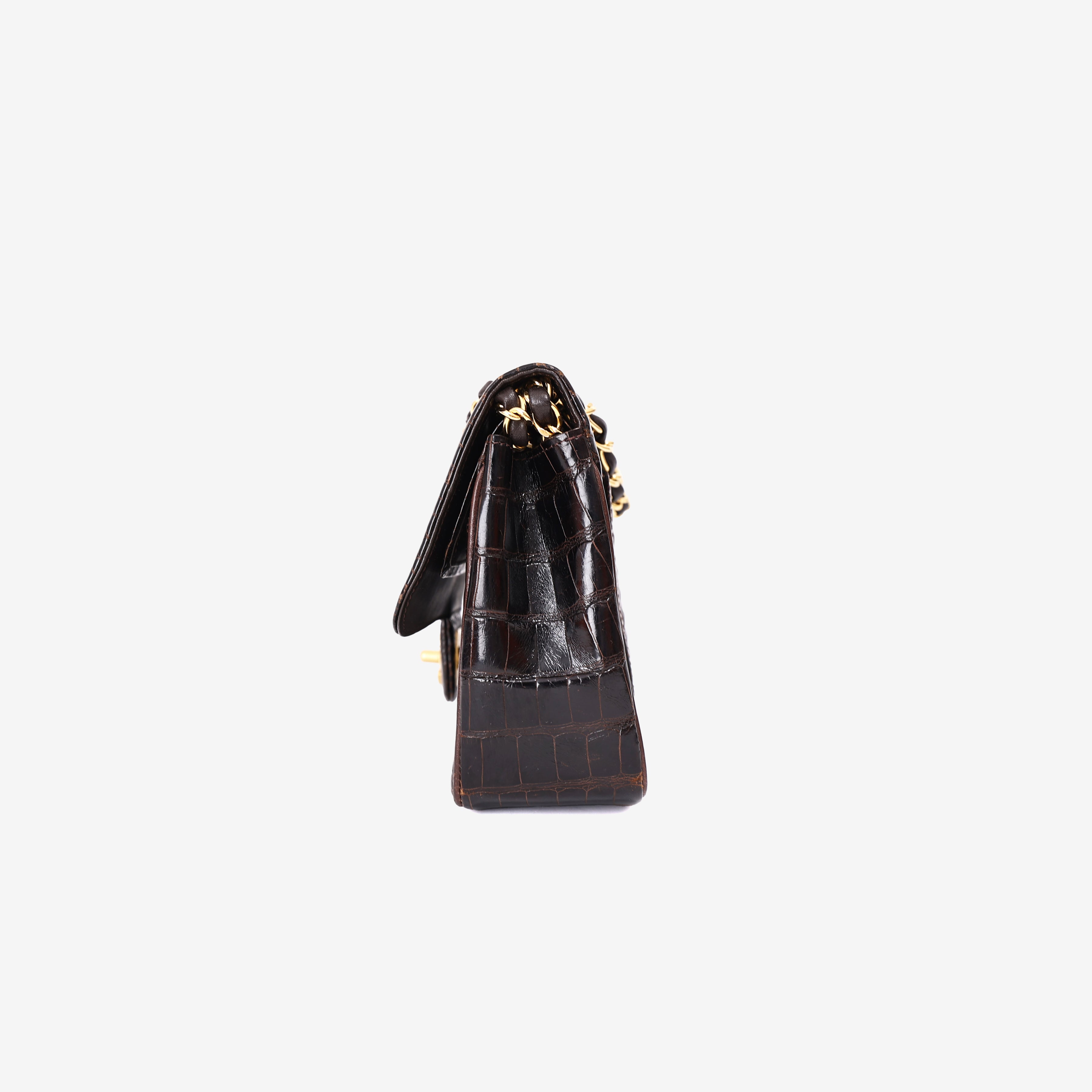 Chanel Timeless Classic Double Flap Small in Black Shiny Alligator Leather with Gold Hardware side view