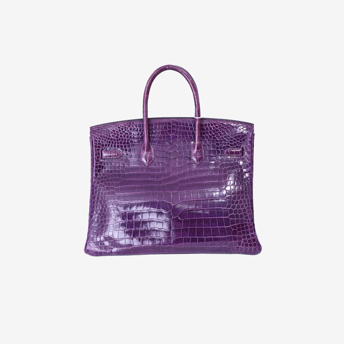 Hermès Birkin 35 in Amethyst Porosus Crocodile Leather back view