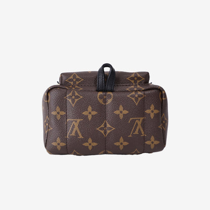 Louis Vuitton Palm Springs Mini Backpack in Brown Monogram Canvas with Gold Hardware