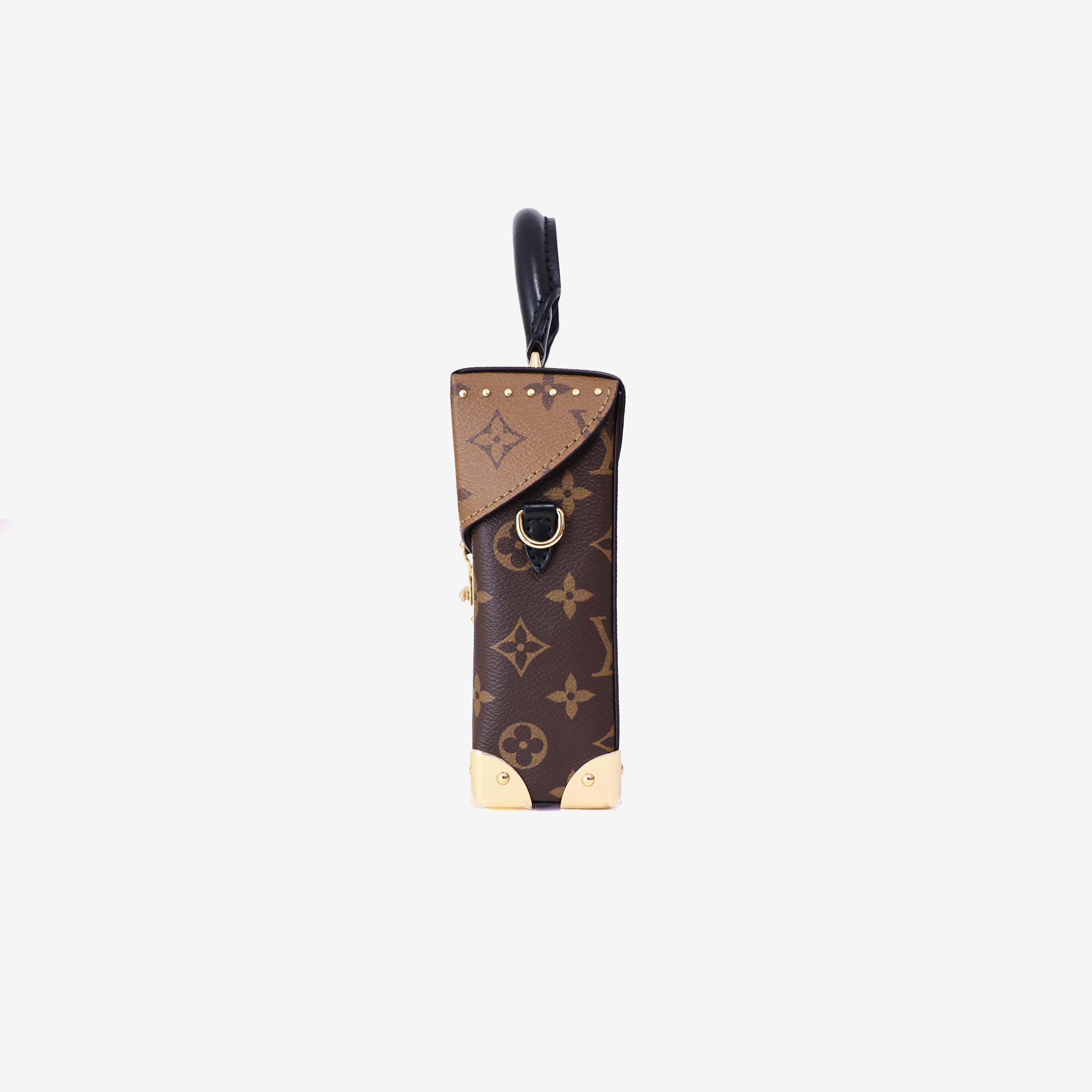 Louis Vuitton Camera Box Bag in Brown Monogram Canvas with Gold Hardware side view