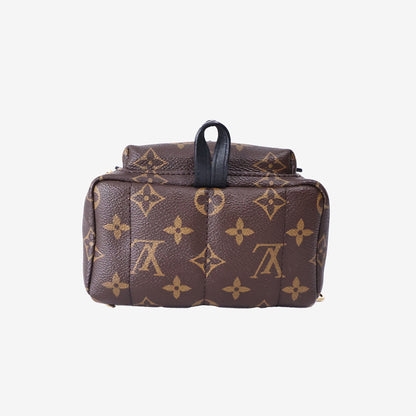 Louis Vuitton Palm Springs Mini Backpack in Brown Monogram Coated Canvas with Gold Hardware