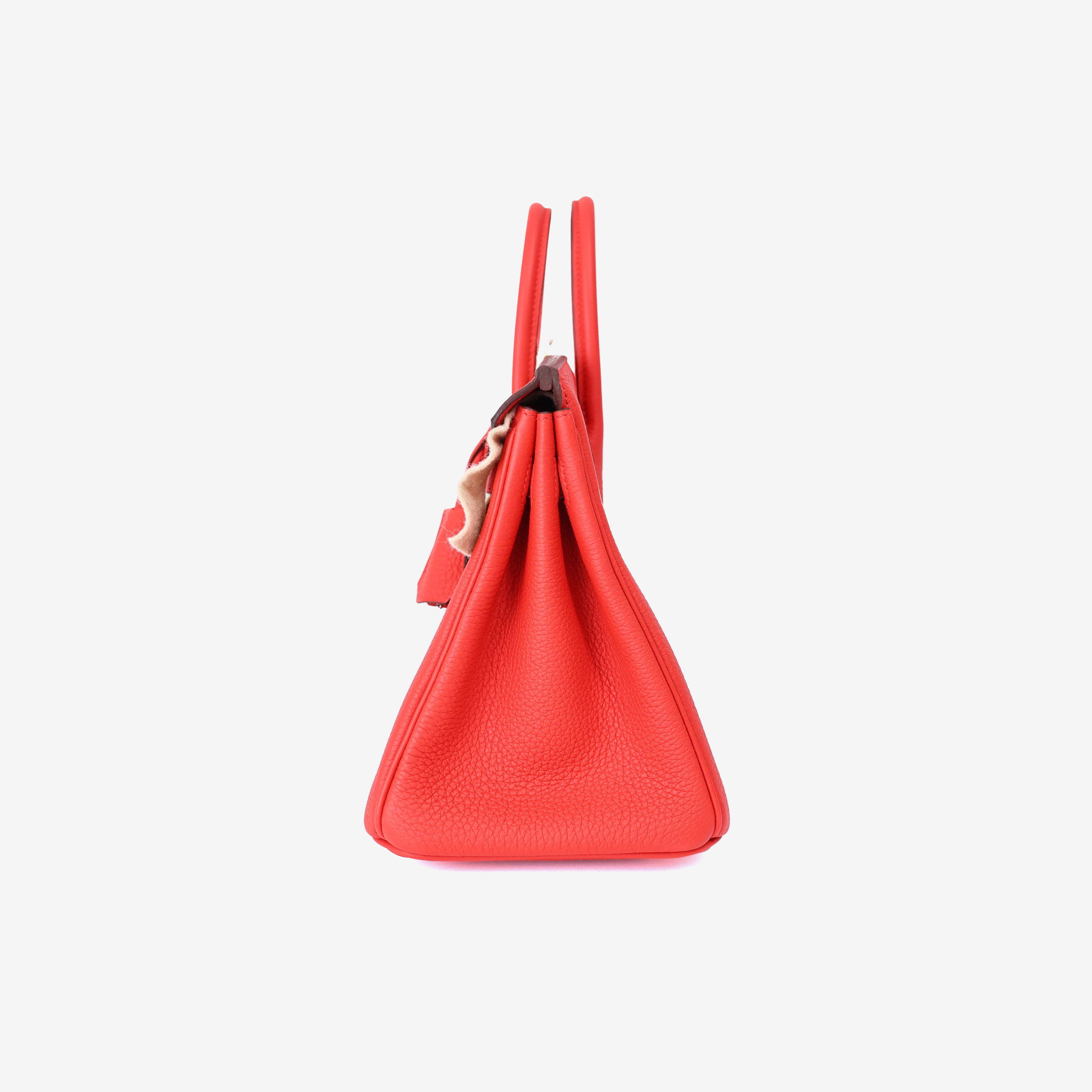 Hermès Birkin 25 in Rouge de Cœur Togo Leather with Palladium Hardware side view