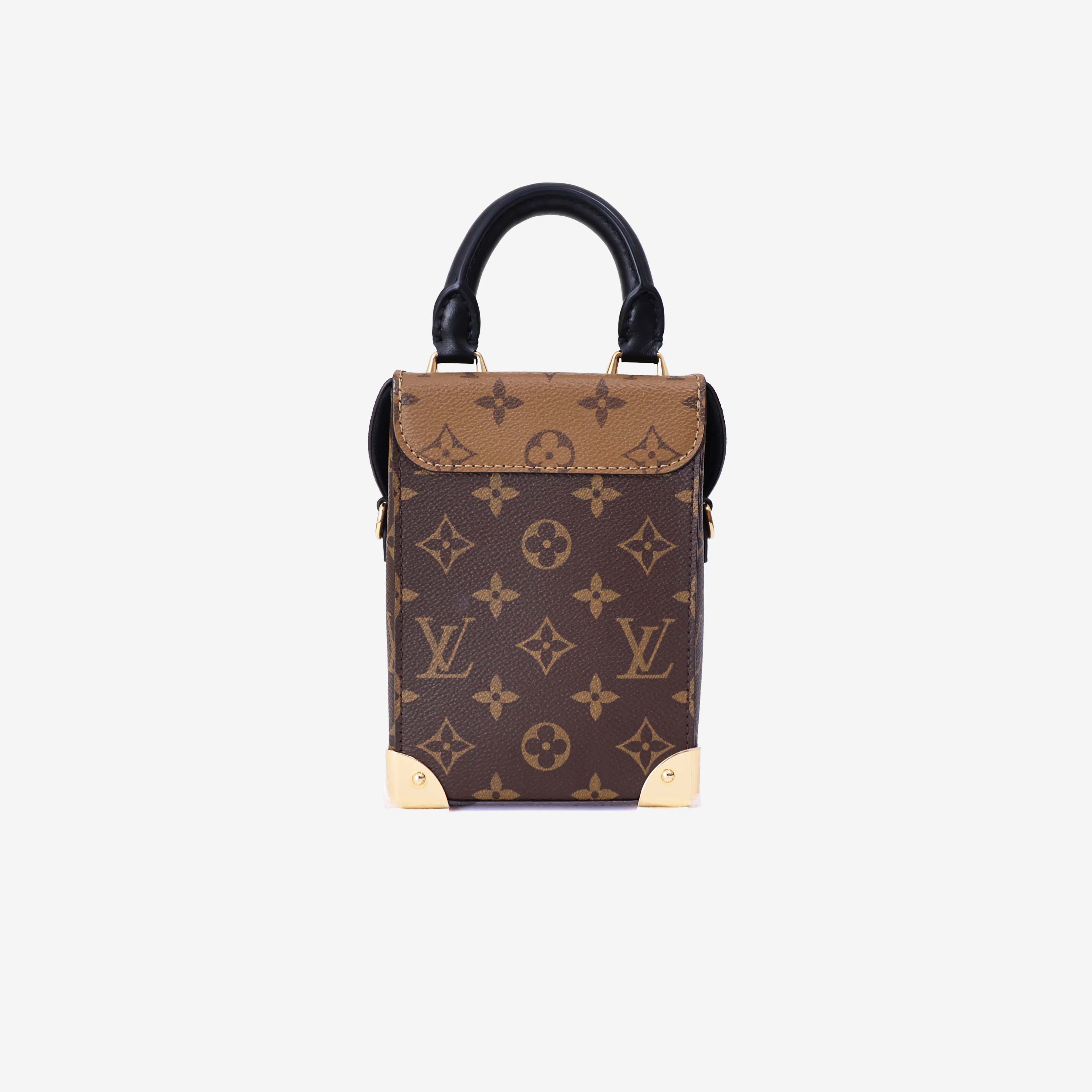 Louis Vuitton Camera Box Bag in Brown Monogram Canvas with Gold Hardware back view
