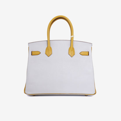 Hermès Birkin 25 in Gris Perle/Yellow Chevre Leather with Gold Hardware back view