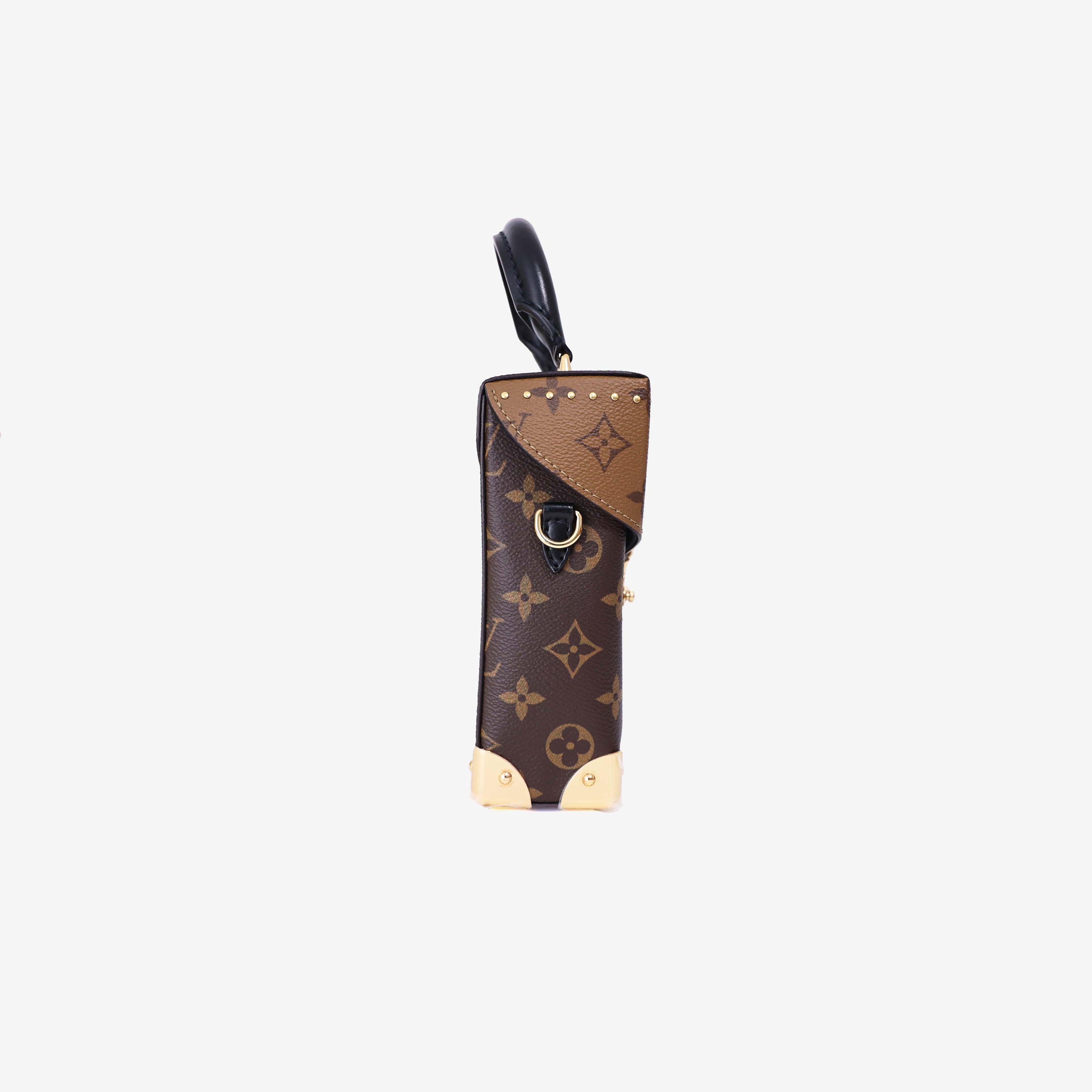 Louis Vuitton Camera Box Bag in Brown Monogram Canvas with Gold Hardware side view