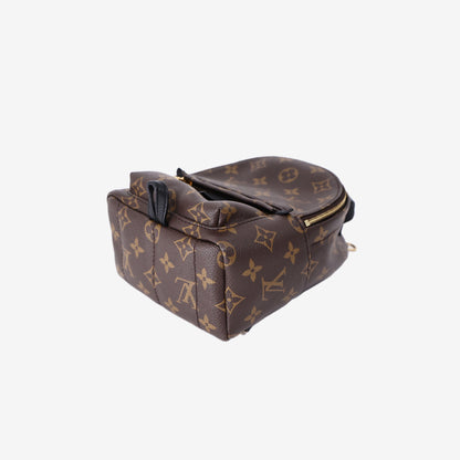 Louis Vuitton Palm Springs Mini Backpack in Brown Monogram Canvas with Gold Hardware