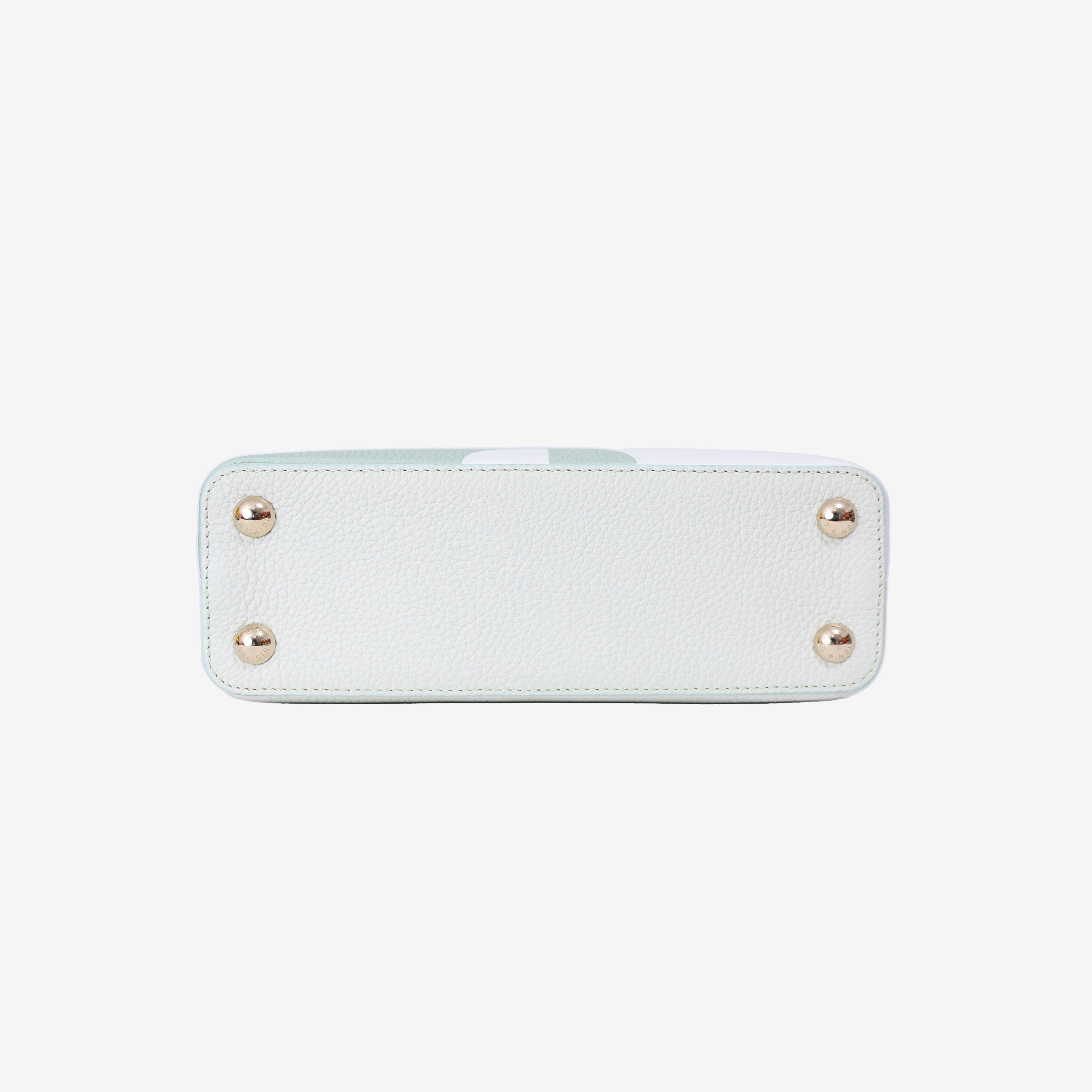 Louis Vuitton Capucines BB in Light Green Taurillon Leather with Gold Hardware bottom view