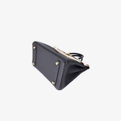 Hermès Birkin 25 in Plomb Togo Leather with Gold Hardware