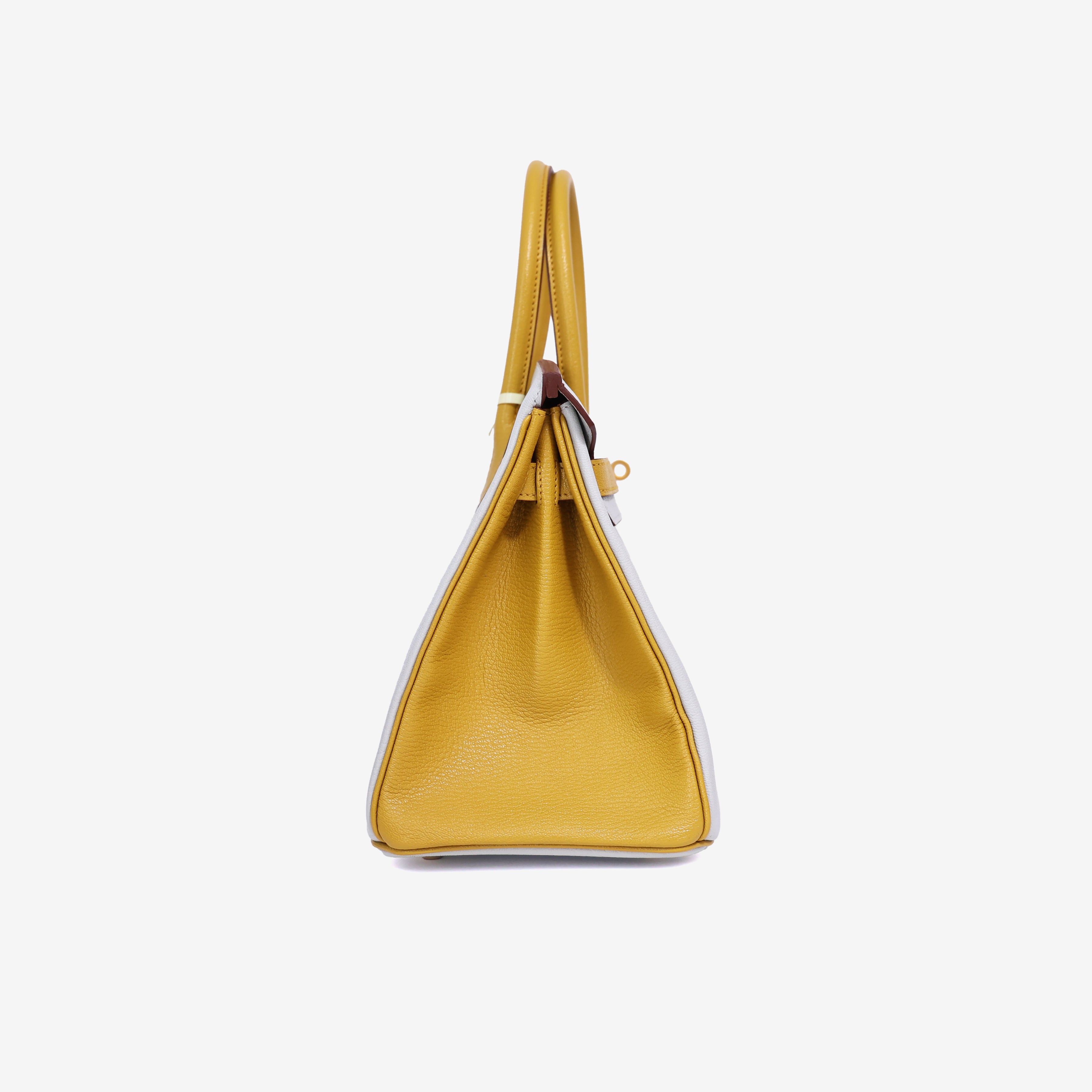 Hermès Birkin 25 in Gris Perle/Yellow Chevre Leather with Gold Hardware side view