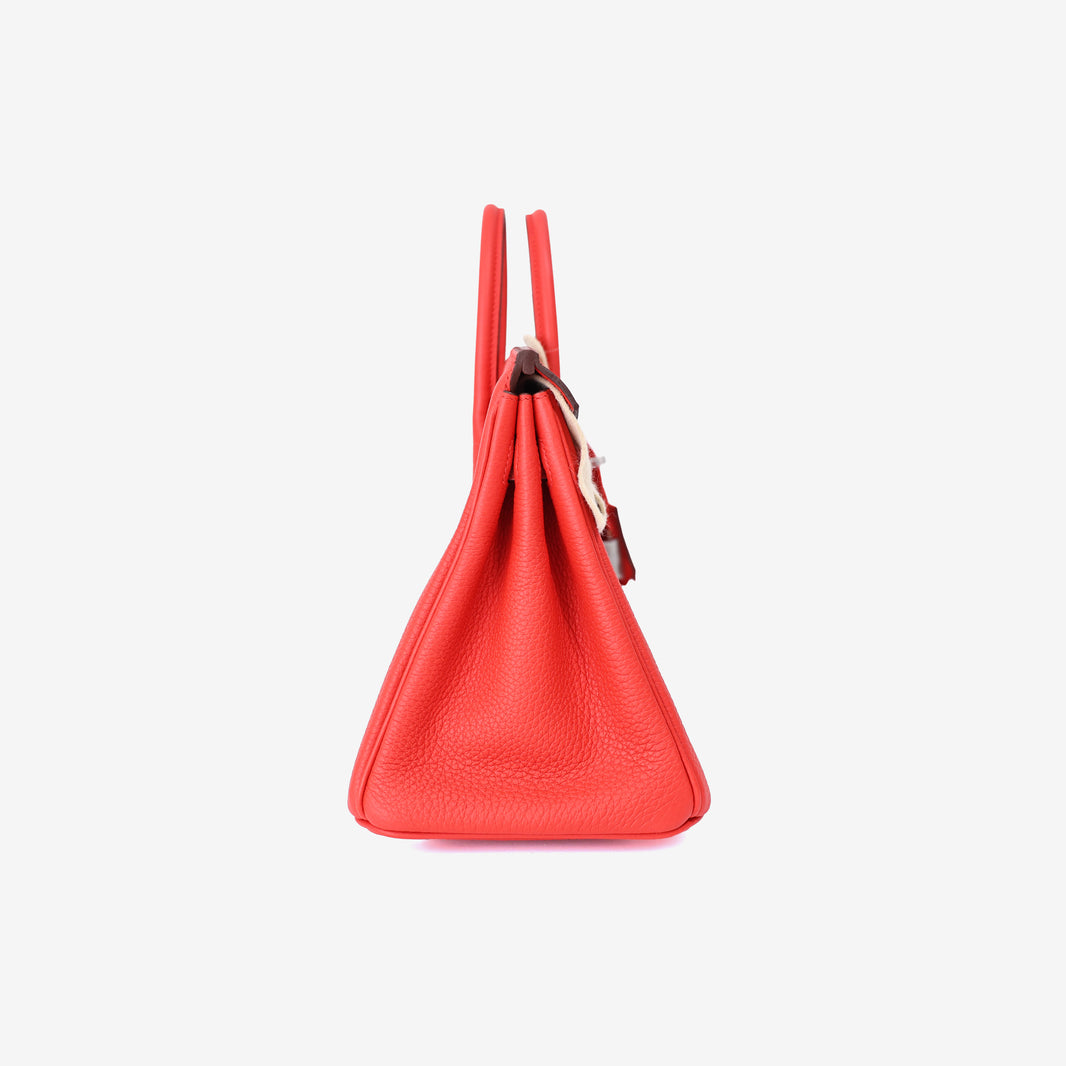 Hermès Birkin 25 in Rouge de Cœur Togo Leather with Palladium Hardware side view