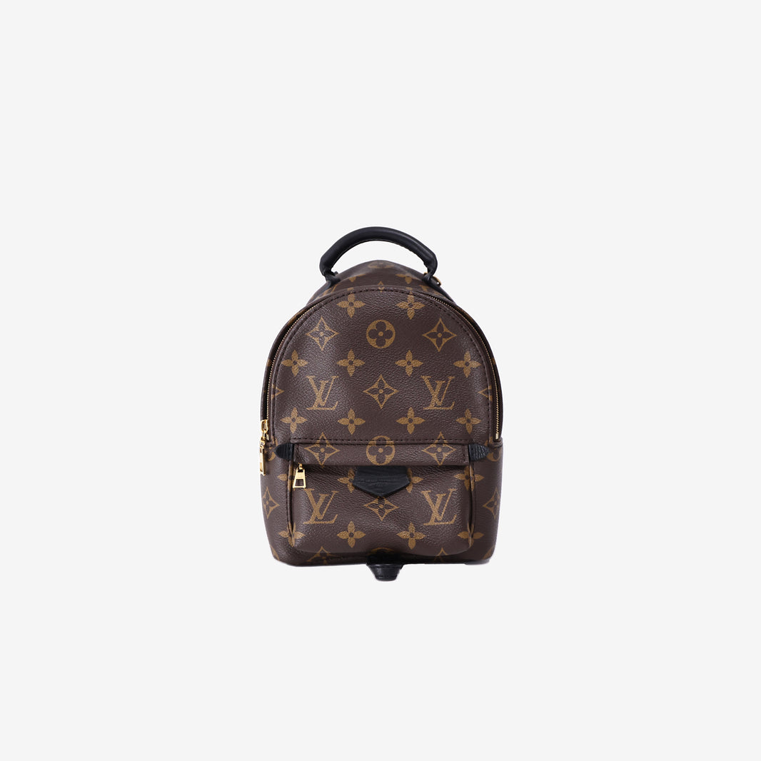 Louis Vuitton Palm Springs Mini Backpack in Brown Monogram Canvas with Gold Hardware