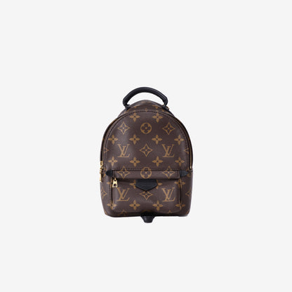 Louis Vuitton Palm Springs Mini Backpack in Brown Monogram Canvas with Gold Hardware